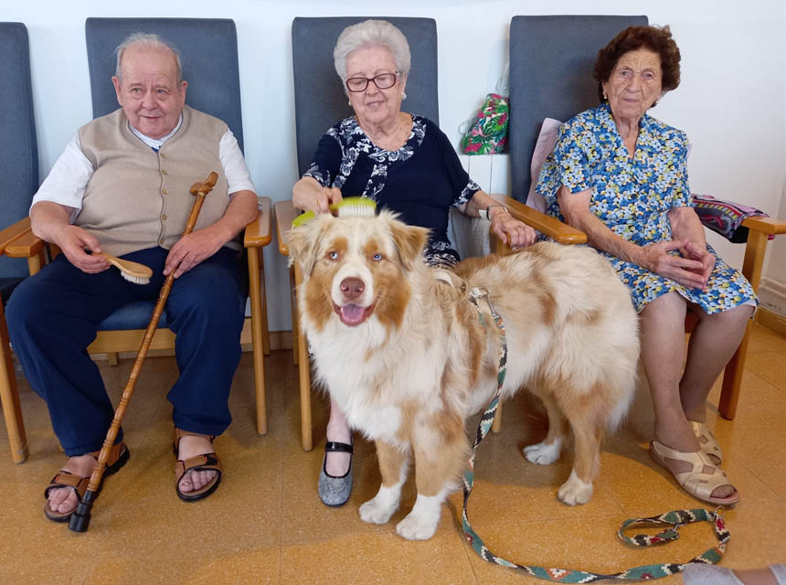 Centres de dia terapia amb gossos, Los centros de día y residencias de personas mayores realizan terapia con perros